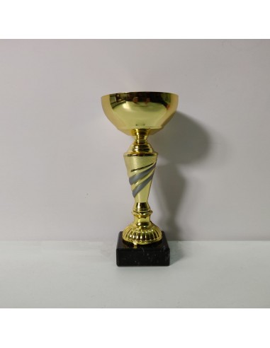 Trofeu Cupă Sportivă Personalizată C