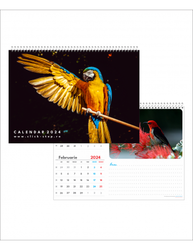 Calendar De Perete A3, 6 File Standard
